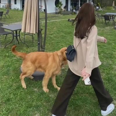 穿越橄榄树林